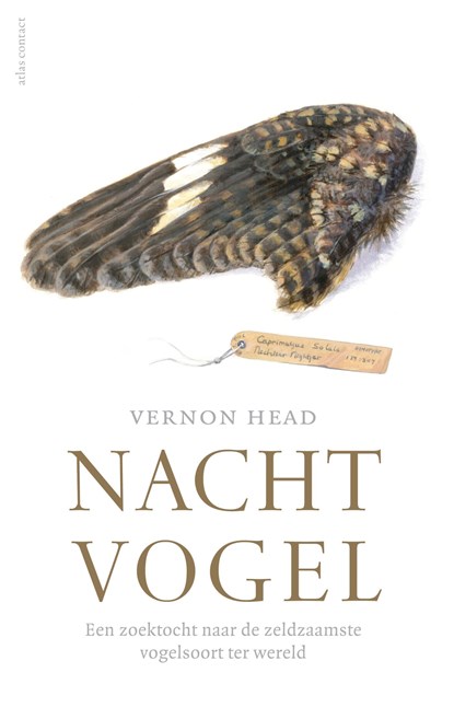 Nachtvogel, Vernon Head - Ebook - 9789045029436