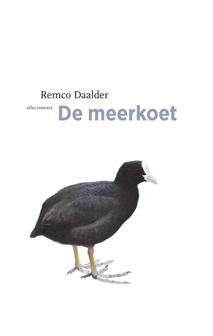 Meerkoet, Remco Daalder - Ebook - 9789045030265