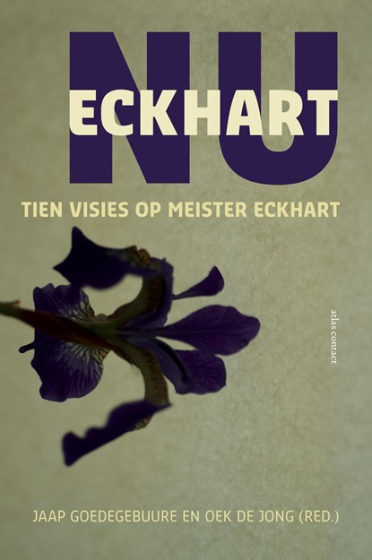 Eckhart nu, Jaap Goedegebuure ; Oek de Jong - Paperback - 9789045032092