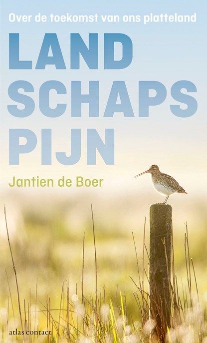 Landschapspijn, Jantien de Boer - Ebook - 9789045033914