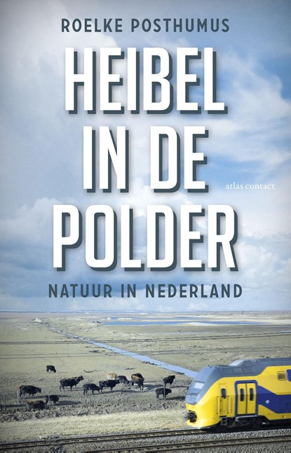 Heibel in de polder, Roelke Posthumus - Ebook - 9789045034898