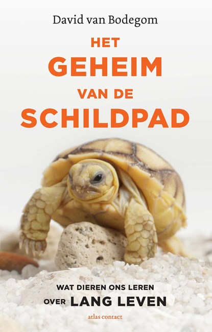 Het geheim van de schildpad, David van Bodegom - Ebook - 9789045038940