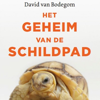 Het geheim van de schildpad, David van Bodegom - Luisterboek MP3 - 9789045040318