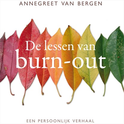 De lessen van Burn-out, Annegreet van Bergen - Luisterboek MP3 - 9789045047843