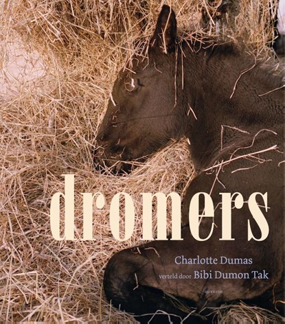 Dromers, Charlotte Dumas ; Bibi Dumon Tak - Gebonden - 9789045124094