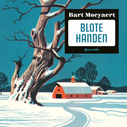 Blote handen, Bart Moeyaert - Luisterboek MP3 - 9789045126180