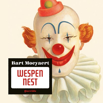 Wespennest, Bart Moeyaert - Luisterboek MP3 - 9789045126340
