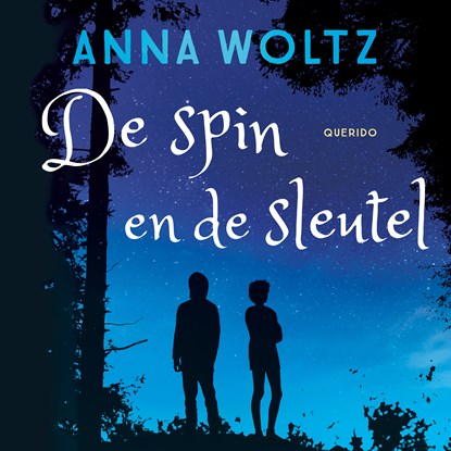 De spin en de sleutel, Anna Woltz - Luisterboek MP3 - 9789045129891