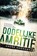 Dodelijke ambitie, André Hoogeboom - Paperback - 9789045213590