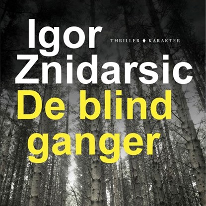 De blindganger, Igor Znidarsic - Luisterboek MP3 - 9789045213880