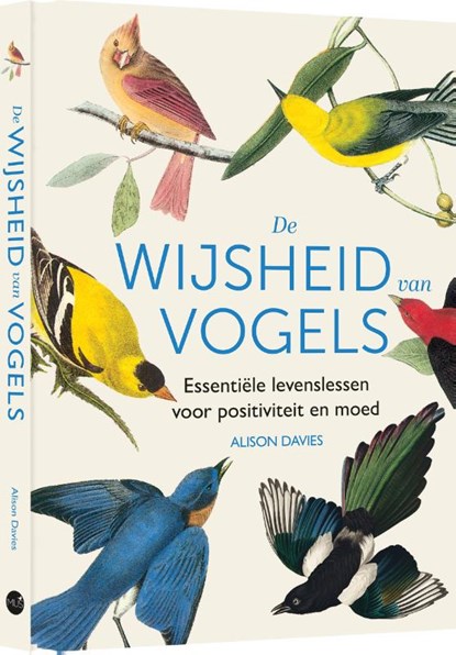 De wijsheid van vogels, Alison Davies - Gebonden - 9789045328850