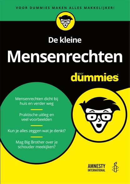 De kleine Mensenrechten voor Dummies, Daan Bronkhorst ; Amnesty International - Paperback - 9789045351223