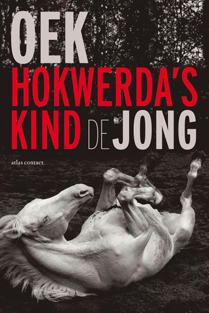 Hokwerda's kind, Oek de Jong - Ebook - 9789045702186
