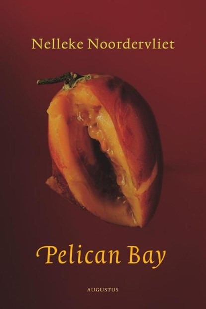 Pelican bay, Nelleke Noordervliet - Ebook - 9789045705774