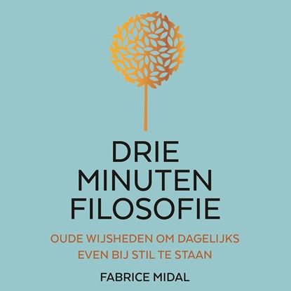 Drie minuten filosofie, Fabrice Midal - Luisterboek MP3 - 9789046175989