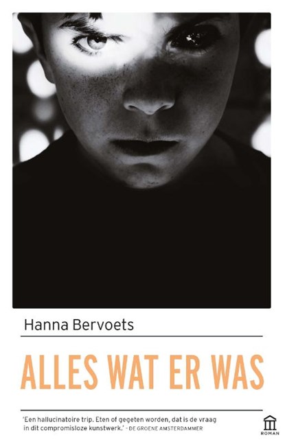 Alles wat er was, Hanna Bervoets - Paperback - 9789046705728