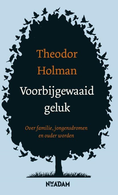 Voorbijgewaaid geluk, Theodor Holman - Gebonden - 9789046822807