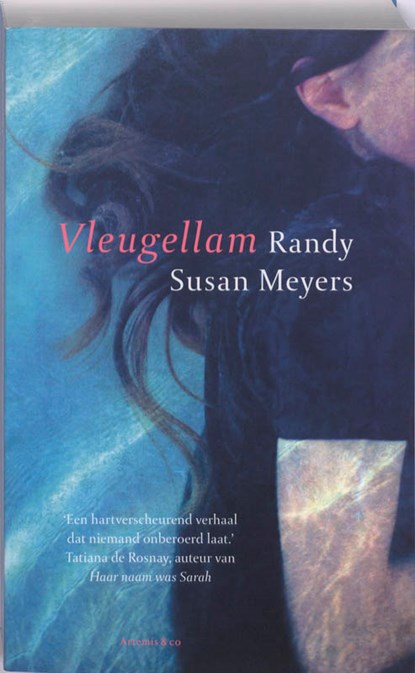 Vleugellam, Randy Susan Meyers - Paperback - 9789047200932