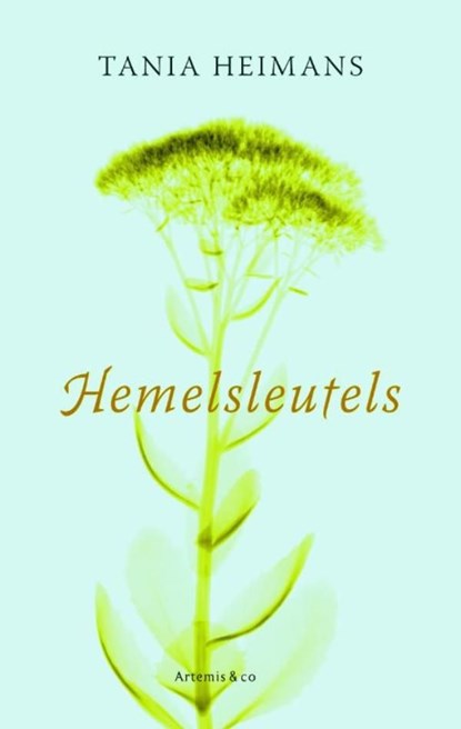 Hemelsleutels, Tania Heimans - Ebook - 9789047201038