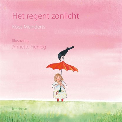 Het regent zonlicht, Koos Meinderts ; Thijs Borsten - Gebonden - 9789047703099