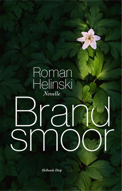 Brandsmoor, Roman Helinski - Ebook - 9789048844456