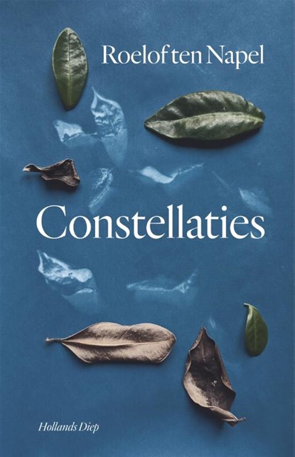 Constellaties, Roelof ten Napel - Paperback - 9789048859542