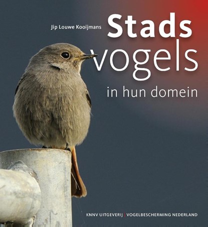 Stadsvogels in hun domein - natuur in de stad, vogelgids, Jip Louwe Kooijmans & Paula Huigen - Paperback - 9789050114660