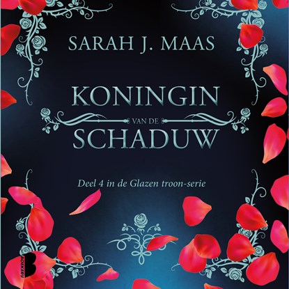 Koningin van de schaduw, Sarah J. Maas - Luisterboek MP3 - 9789052860749