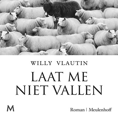 Laat me niet vallen, Willy Vlautin - Luisterboek MP3 - 9789052861012