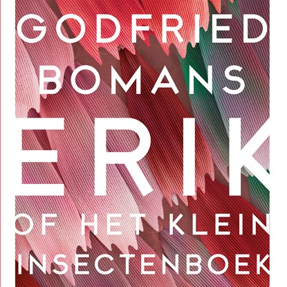 Erik of Het klein insectenboek, Godfried Bomans - Luisterboek MP3 - 9789052861289