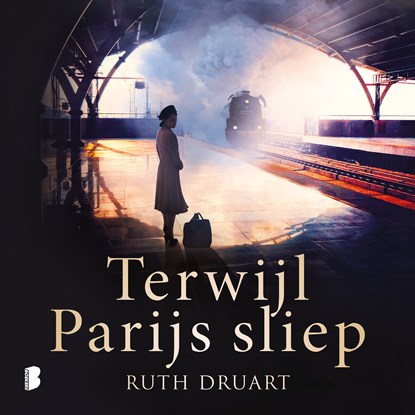 Terwijl Parijs sliep, Ruth Druart - Luisterboek MP3 - 9789052864082
