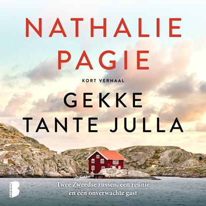 Gekke tante Julla, Nathalie Pagie - Luisterboek MP3 - 9789052864501