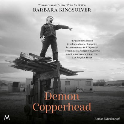 Demon Copperhead, Barbara Kingsolver - Luisterboek MP3 - 9789052867038