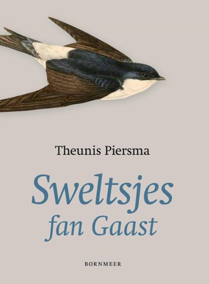 Sweltsjes fan Gaast, Theunis Piersma - Paperback - 9789056153182