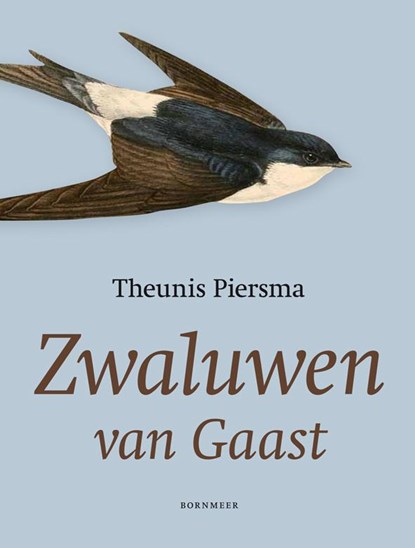 Zwaluwen van Gaast, Theunis Piersma - Paperback - 9789056153212