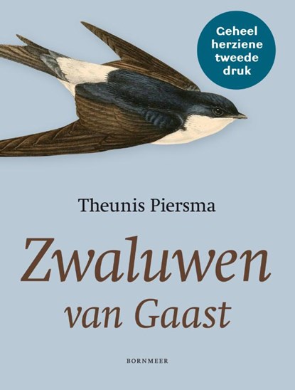 Zwaluwen van Gaast, Theunis Piersma - Paperback - 9789056154295