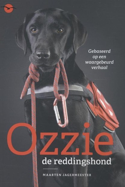 Ozzie, Maarten Jagermeester - Paperback - 9789057205019