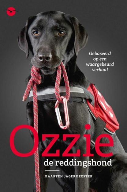 Ozzie, de reddingshond, Maarten Jagermeester - Ebook - 9789057205033