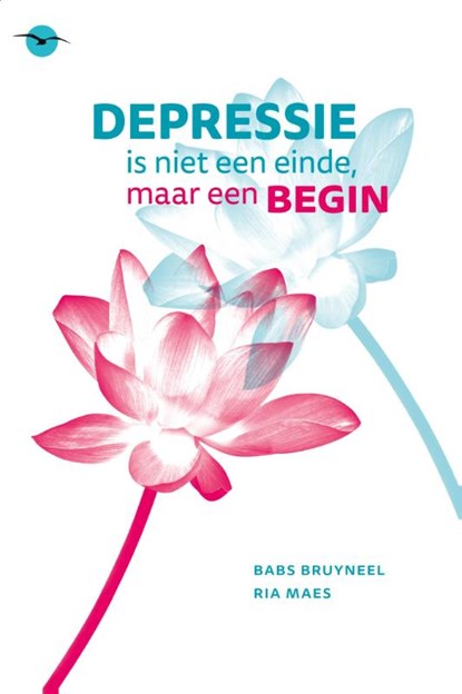 Depressie is niet een einde maar een begin, Babs Bruyneel ; Ria Maes - Paperback - 9789057205118