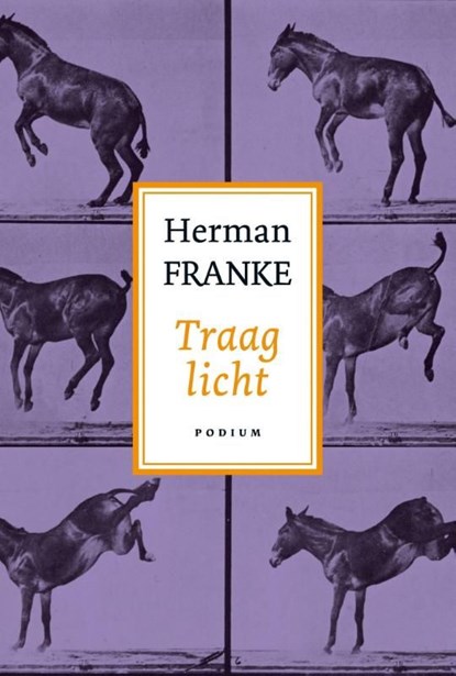 Traag licht, Herman Franke - Ebook - 9789057594786