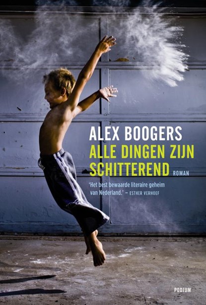 Alle dingen zijn schitterend, Alex Boogers - Paperback - 9789057595387