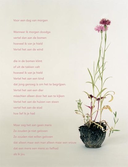 Poëzieposter Plint 'Voor een dag van morgen' Hans Andreus Diane Scherer 1119, Hans Andreus ; Diane Scherer - Losbladig - 9789059305434