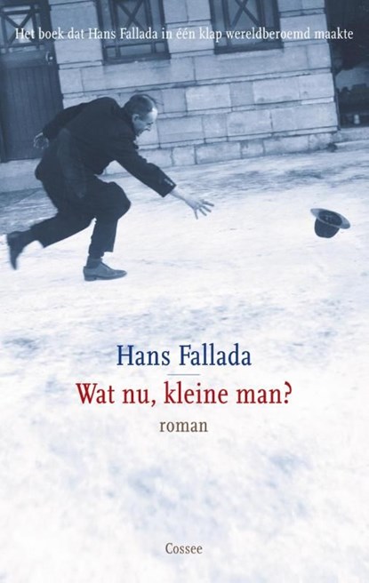 Wat nu, kleine man?, Hans Fallada - Ebook - 9789059365155