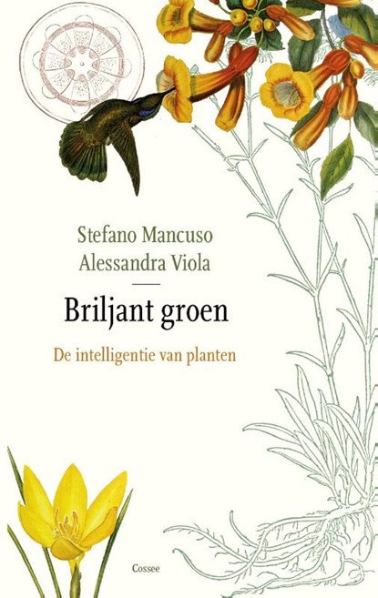 Briljant groen, Stefano Mancuso ; Allessandra Viola - Gebonden - 9789059367098