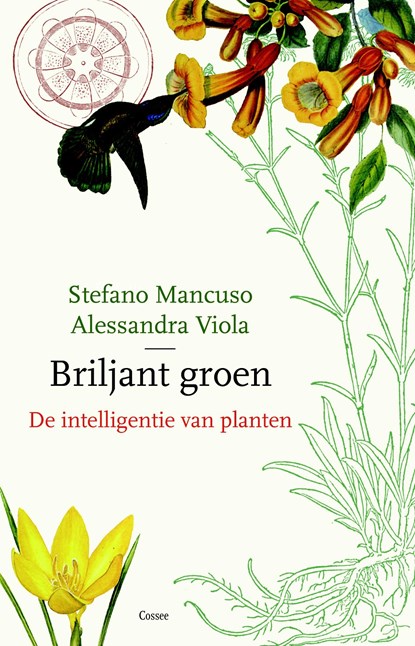 Briljant groen, Stefano Mancuso ; Allessandra Viola - Ebook - 9789059367241