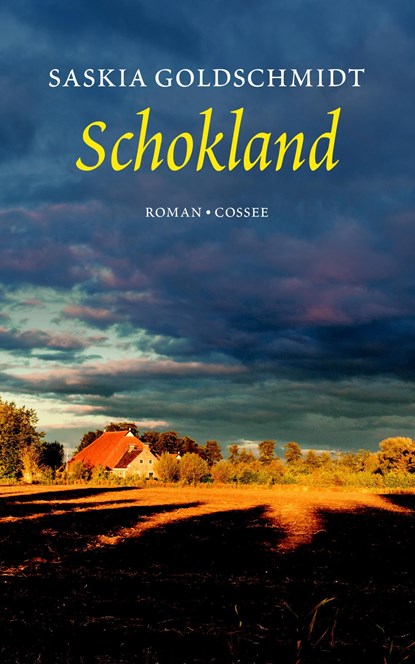 Schokland, Saskia Goldschmidt - Ebook - 9789059368095