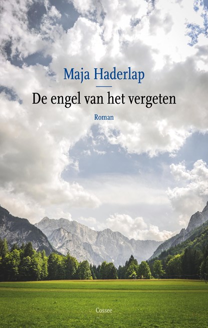 De engel van het vergeten, Maja Haderlap - Ebook - 9789059368651