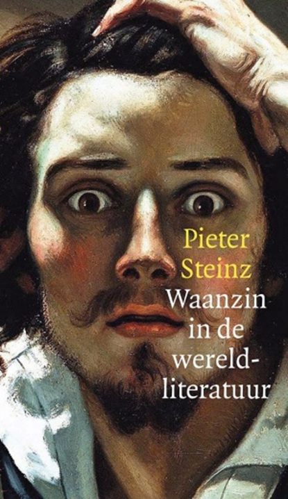 Waanzin in de wereldliteratuur, Steinz - Paperback - 9789059652767