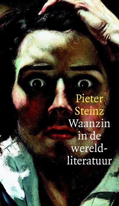 Waanzin in de wereldliteratuur, Pieter Steinz - Ebook - 9789059652774