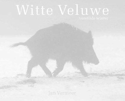 Witte Veluwe, Jan Vermeer - Gebonden - 9789081696517